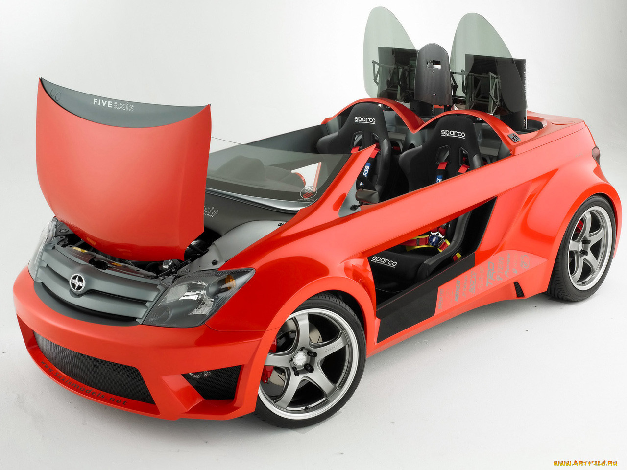 , scion